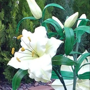 Giant lilies. Material - Isolon(Eva Foam)